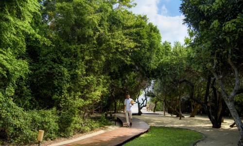 Uga Jungle Beach